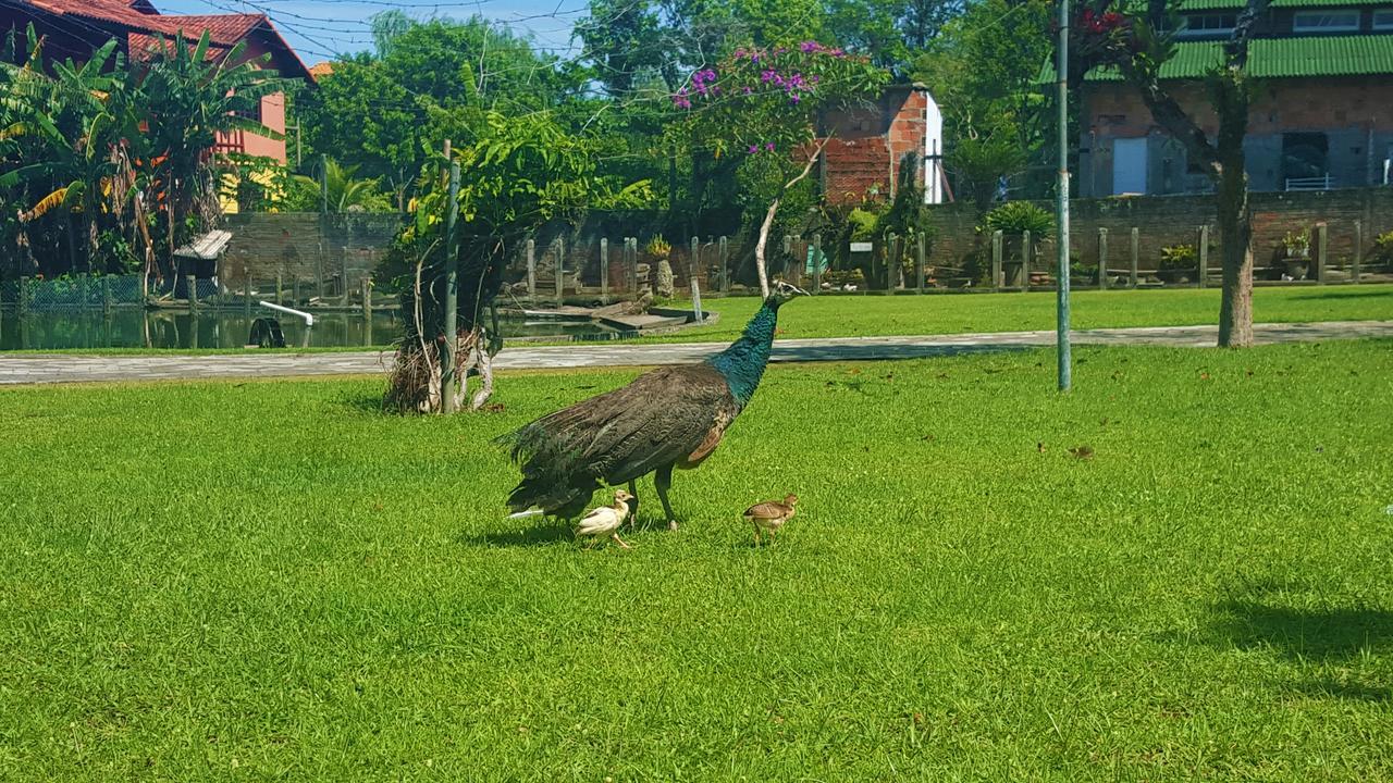 Pousada Pavao Branco Florianópolis Extérieur photo