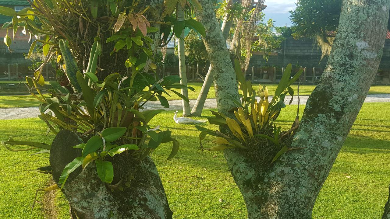 Pousada Pavao Branco Florianópolis Extérieur photo