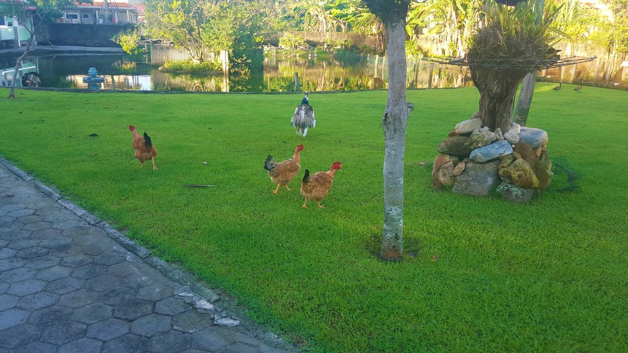 Pousada Pavao Branco Florianópolis Extérieur photo