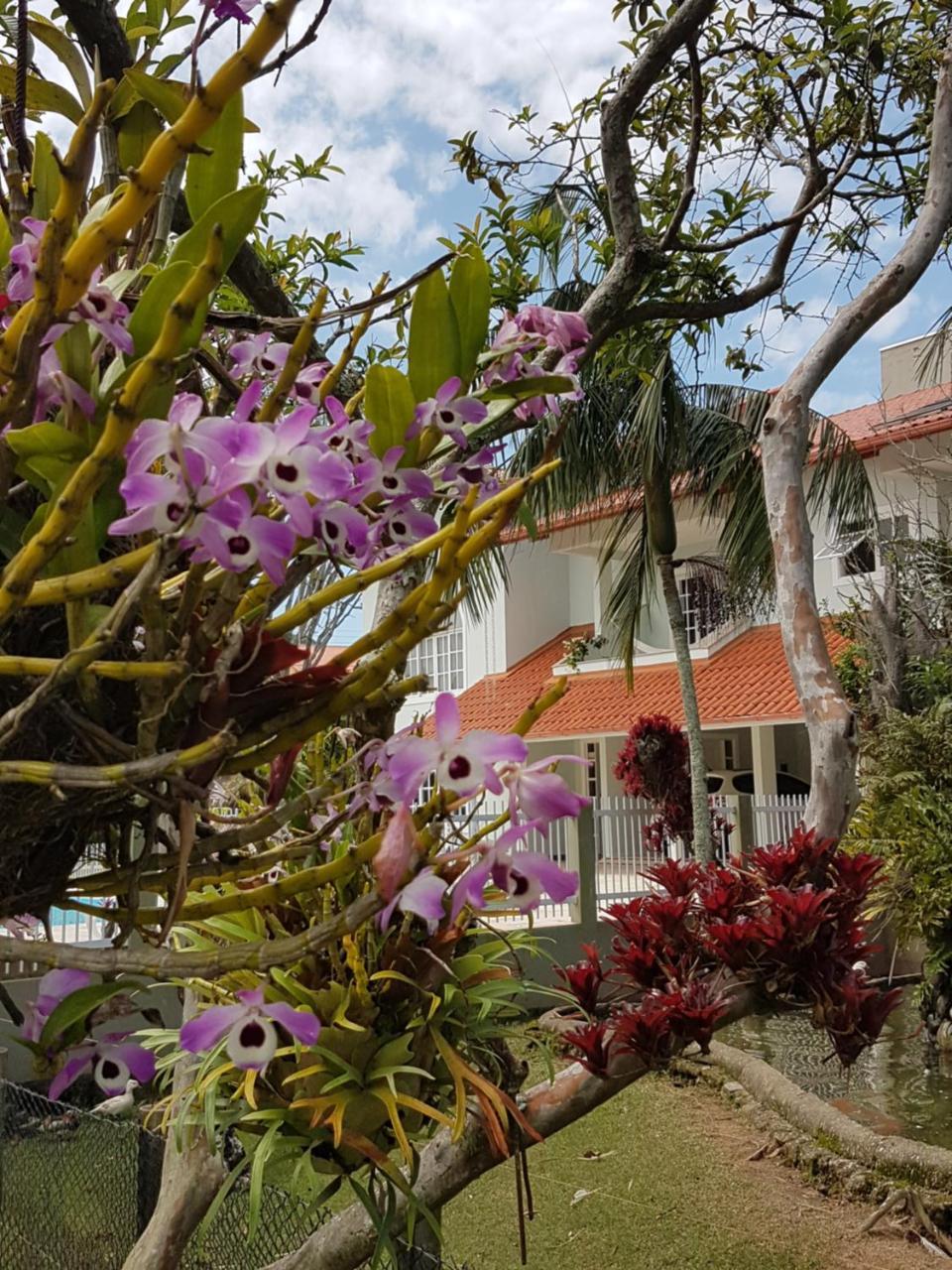 Pousada Pavao Branco Florianópolis Extérieur photo