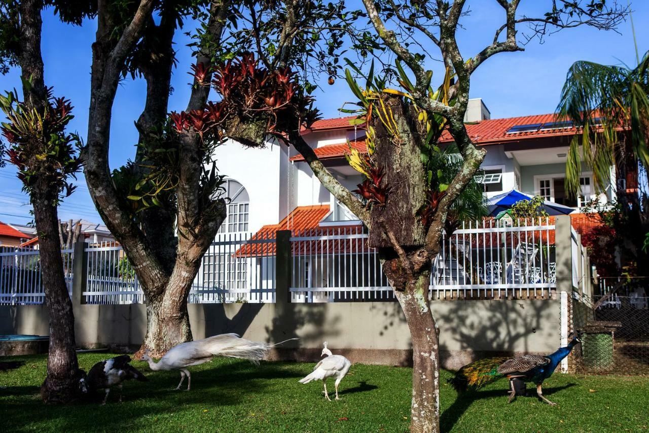 Pousada Pavao Branco Florianópolis Extérieur photo